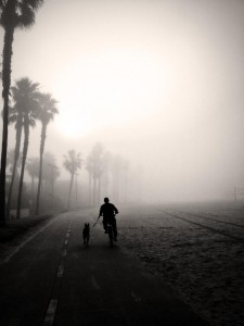 Darren Graves offers this beautifully evocative photo of the Venice bike path from this morning's commute.