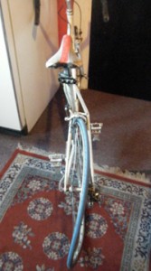 Livingston's warped bike doesn't begin to capture the extent of his injuries.