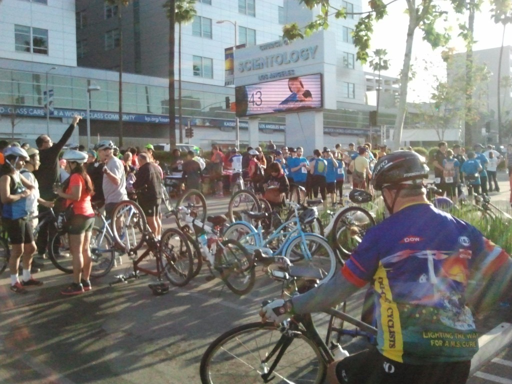 Hundreds of people turned out to join the fight against hit-and-run.