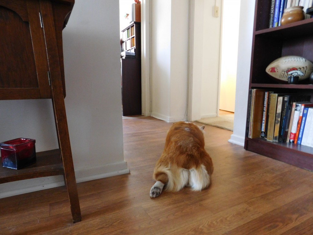Sienna-Foot-Back