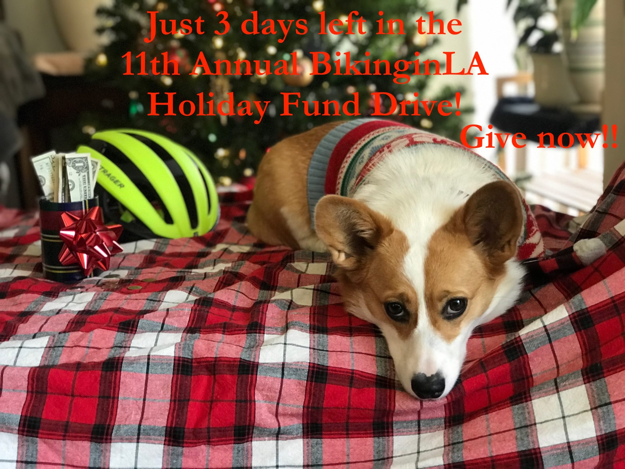 Hit-and-run charge in Ackerman killing, driver kills 2 Texas triathletes, and Imperial Beach teen critically injured by DUI driver