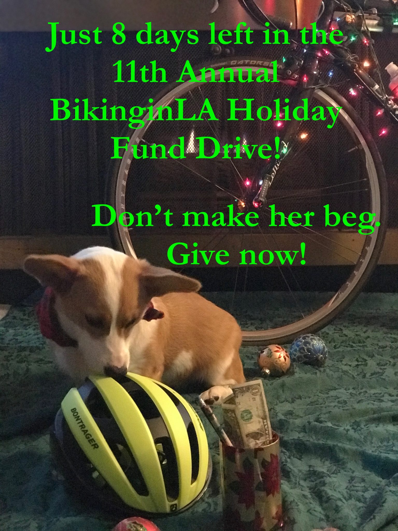 Calderon on drugs in fatal PCH hit-and-run, life sentences in Probst murder, and Raising Canes giveaway goes Hollywood