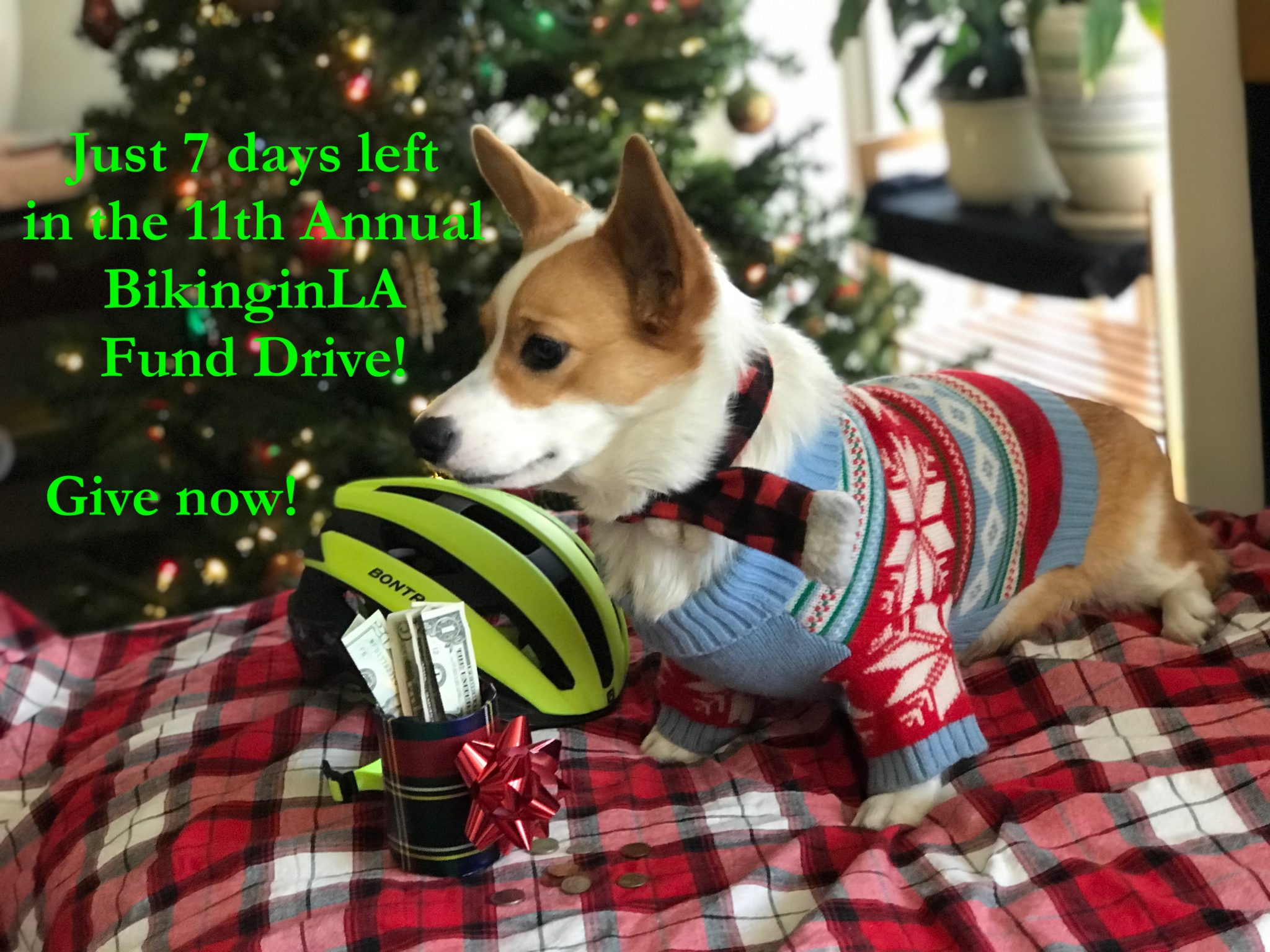 Torrance crackdown lumps e-cargo bikes with illegal minibikes, and quick-build protected bike lane proposed for Jefferson